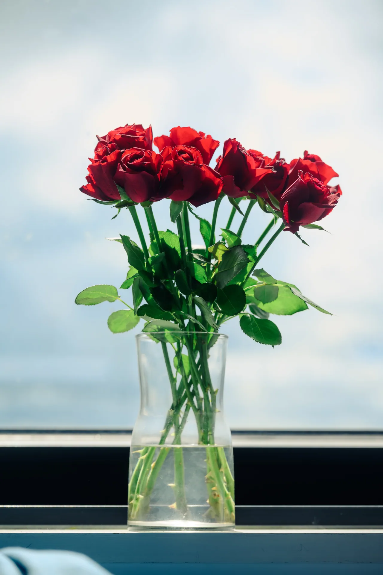 花与茶 · 曼彻斯特