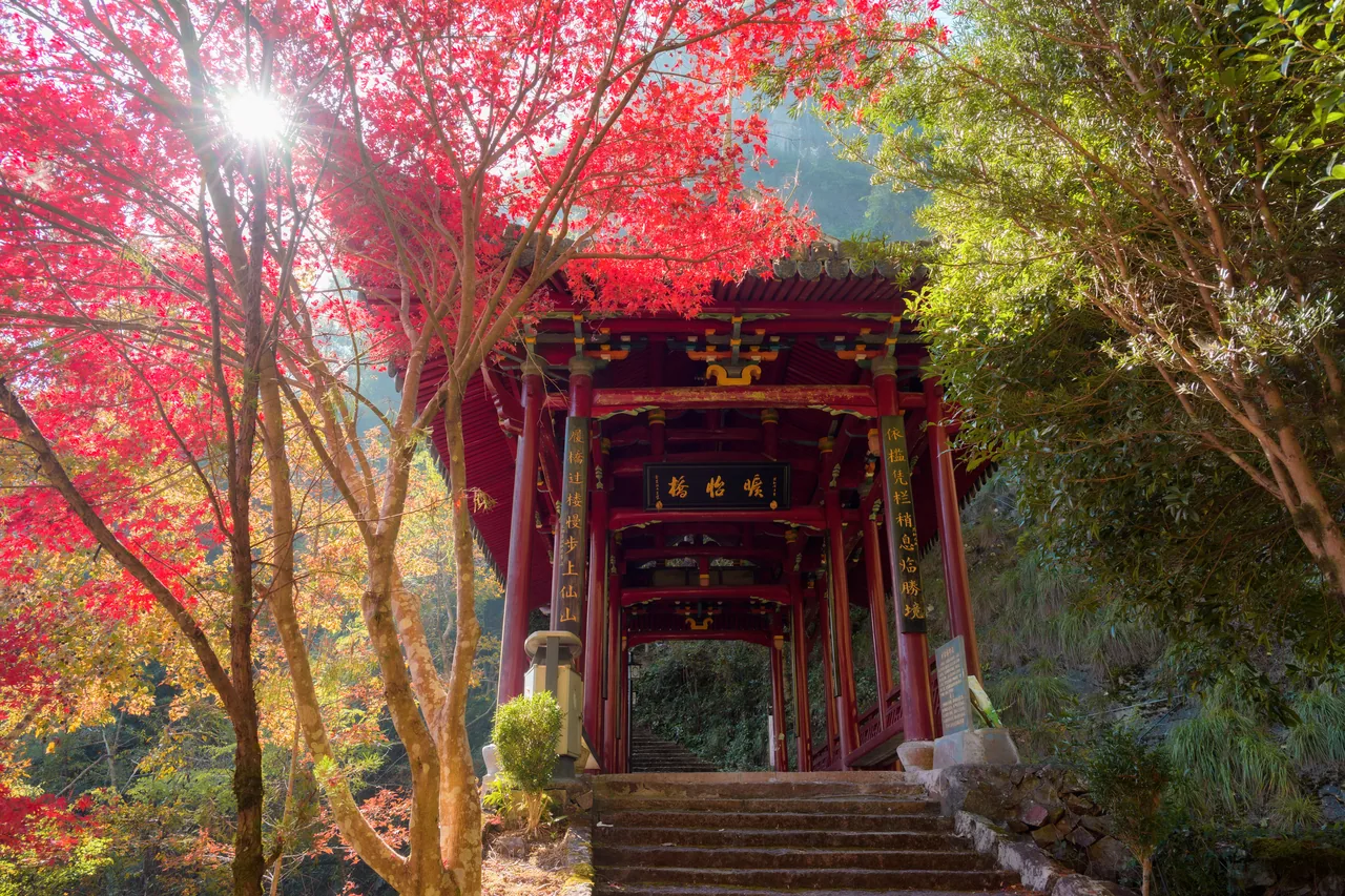 红枫古道 · 文成 · 岩庵岭