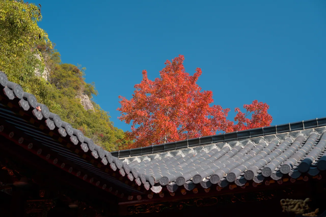 红枫古道 · 文成 · 岩庵岭