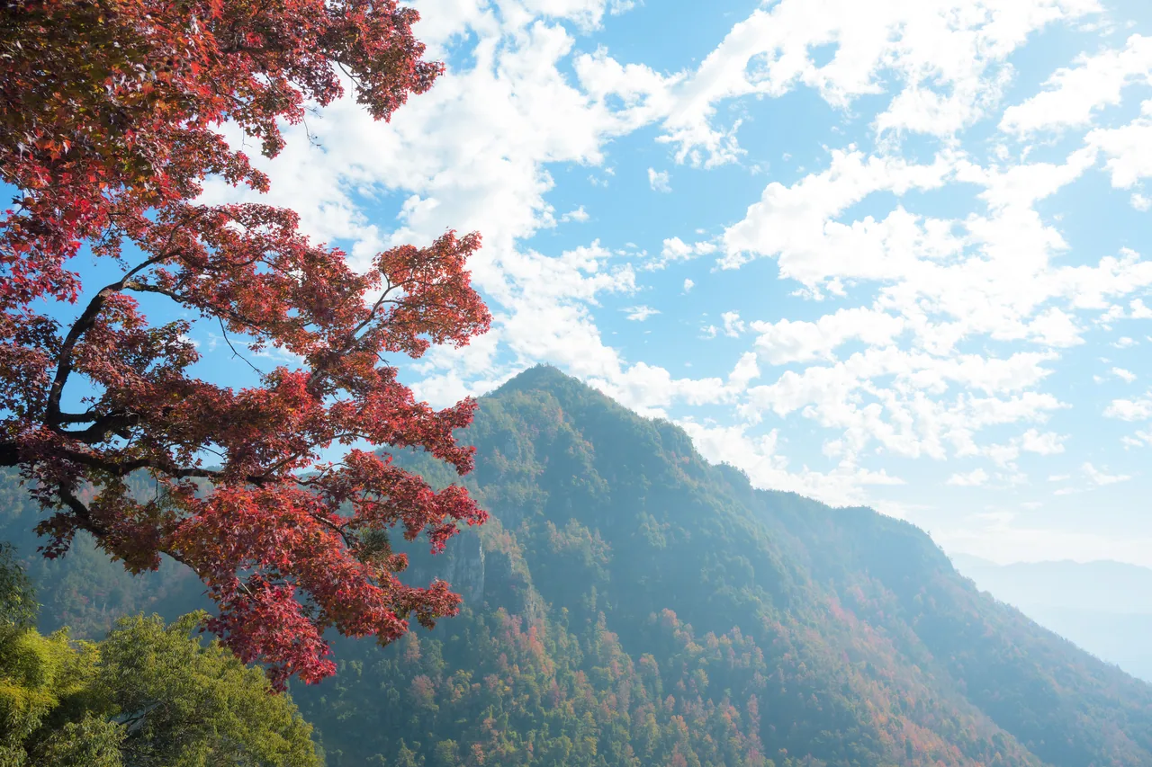 红枫古道 · 文成 · 岩庵岭